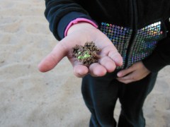 Princess Imaginations playground art work